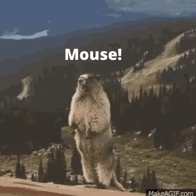 Mouse Noops GIF - Mouse Noops Twins GIFs