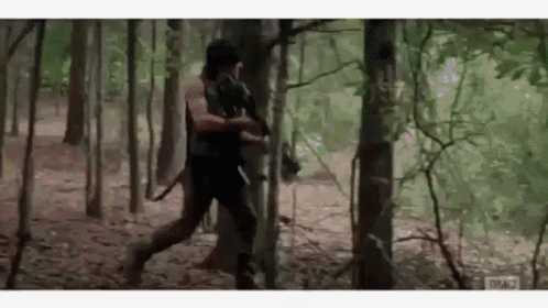 Daryl Dixon  GIF - The Walking Dead Zombies Norman Reedus GIFs