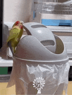 Parrot Spin GIF - Parrot Spin Birb GIFs