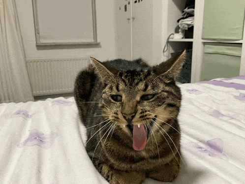 a cat is laying on a bed with its tongue out
