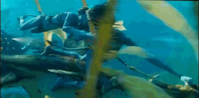 a couple of people are swimming in the ocean and one of them is wearing a blue suit .