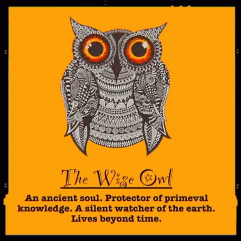 Quiz Owl GIF - Quiz Owl Pick GIFs