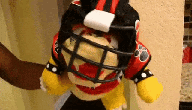 a stuffed animal is wearing a football helmet and a jersey .