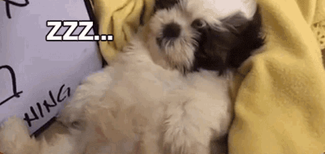 This Is Me In A Normal Day The Real Paningning GIF - This Is Me In A Normal Day The Real Paningning Paningning GIFs