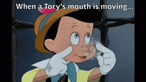 Tory Tories GIF - Tory Tories Tory Party GIFs