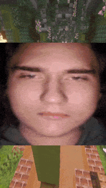 a close up of a man 's face in a minecraft video game