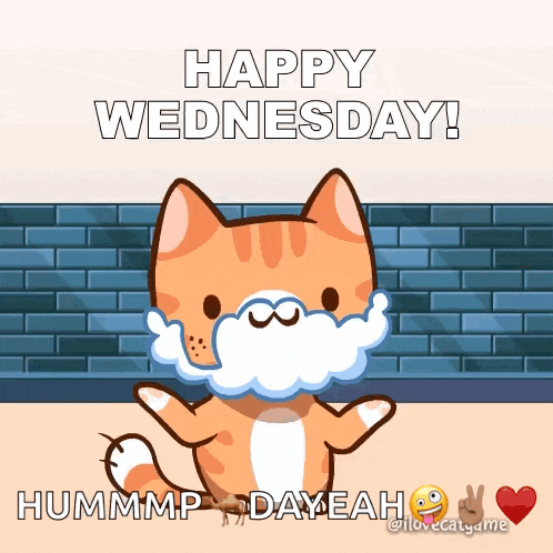 a happy wednesday message with a cat wearing a face mask