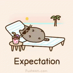 Pusheen Expectation GIF - Pusheen Expectation GIFs