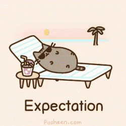 a cartoon of a cat laying on a lounge chair with the word expectation below it .