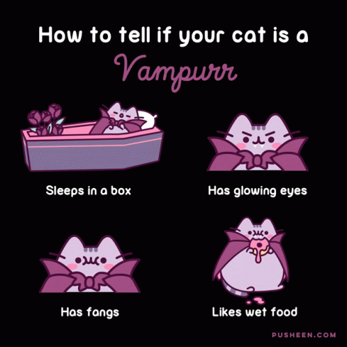Vampurr Vampire Cat GIF - Vampurr Vampire Cat Pusheen GIFs