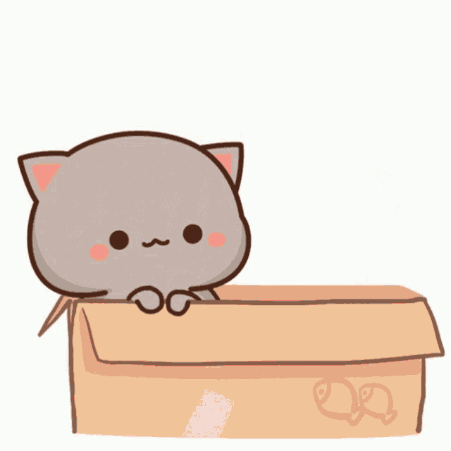 two cartoon cats are sitting in a cardboard box and one of them has a t on its face