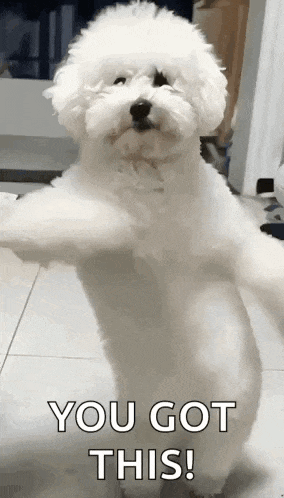 a small white dog is standing on its hind legs with its arms outstretched and says `` you got this ! ''