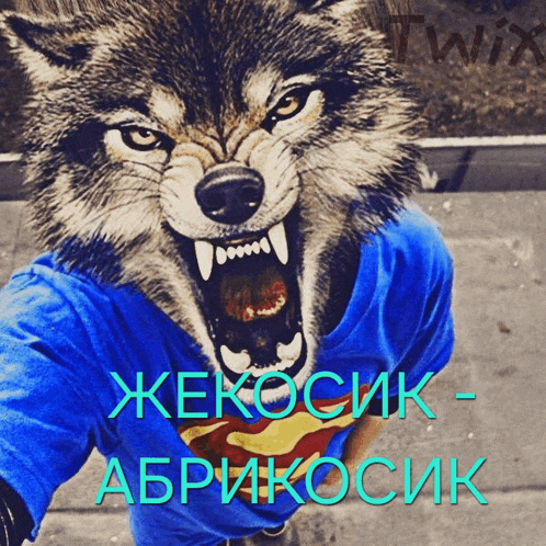 a picture of a wolf wearing a blue shirt with the word twix on the bottom