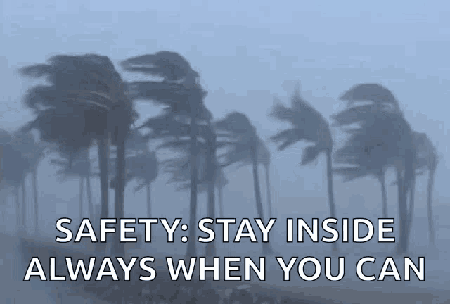 a picture of palm trees blowing in the wind with the words " safety stay inside always when you can "