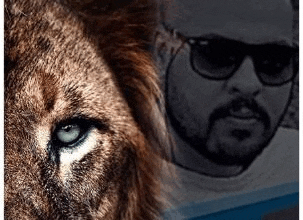 a close up of a lion 's eye and a man 's face .