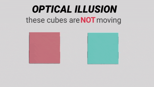 optical illusion these cubes are not moving is written on a white background