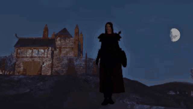 a silhouette of a person standing in front of a castle at night
