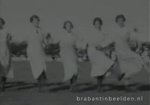 Brabantinbeelden GIF - Brabantinbeelden GIFs