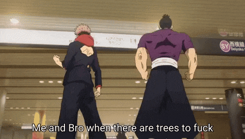 two anime characters standing next to each other with the words me and bro when there are trees to fuck above them