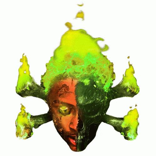 Bawskee Fire GIF - Bawskee Fire Skull GIFs