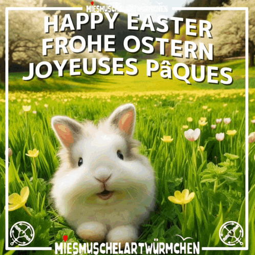 a picture of a white rabbit with the words happy easter frohe ostern joyeuses paques above it