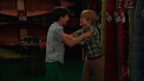 Freaking Out GIF - Brothers Shaking Freaking Out GIFs