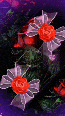 a purple background with red roses and white bows and the word mb on it
