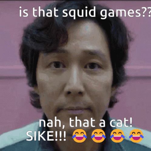 Squid Games Cat GIF - Squid Games Cat GIFs