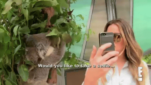 Me At The Zoo GIF - Keepingupwiththekardashians Khloekardashian Koala GIFs