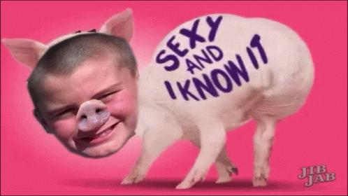 Dylan The God Sexy And I Know It GIF - Dylan The God Sexy And I Know It Pig GIFs