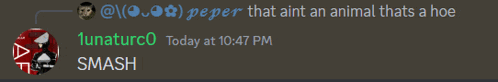 a screenshot of a conversation between lunaturco and peper that ain t an animal that s a hoe