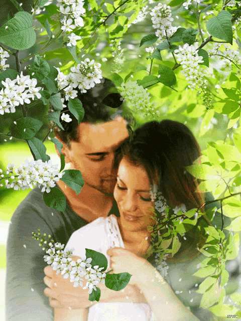 a man and woman are hugging under a tree with white flowers on it