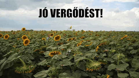 a field of sunflowers with the words jo vergodest on the top