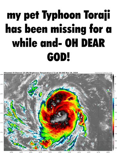 a poster that says my pet typhoon toraji has been missing for a while oh dear god