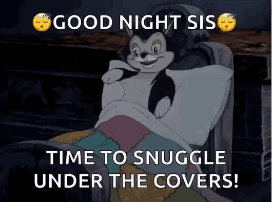 a cartoon cat is laying in a bed with the words " good night sis time to snuggle under the covers "