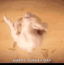 a turkey is laying on its back on a table with the words `` happy turkey day '' written above it .