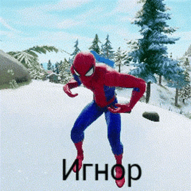 a picture of a spider man in the snow with the word ignor on the bottom right