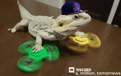 a lizard wearing a hat with the letter r on it is playing with spinners