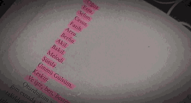 a book is open to a page with a list of names highlighted