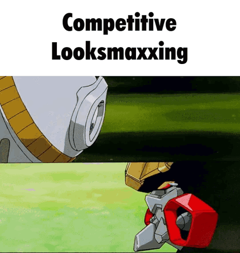 Competive Looksmaxxing GIF - Competive Looksmaxxing Mogger GIFs