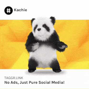 a picture of a panda bear with the taggr.link no ads just pure social media at the bottom