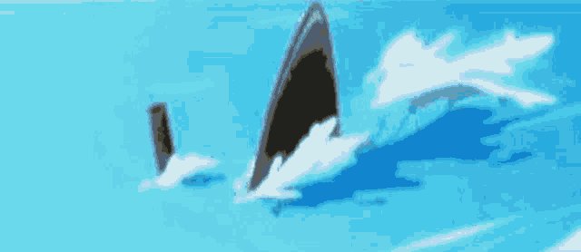a person is standing in the water with their feet in the water and a shark is behind them .