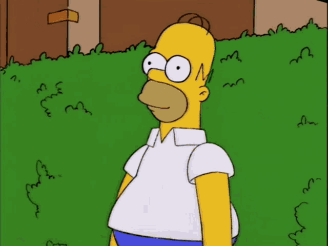 Chau Homero GIF - Chau Homero Simpson GIFs