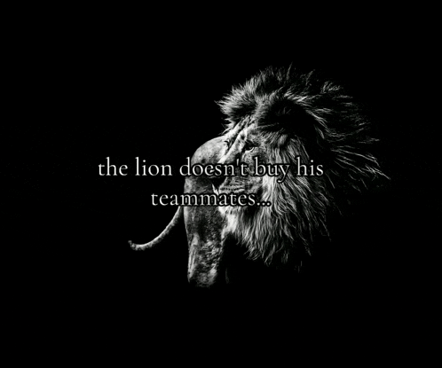 a black and white photo of a lion with the words " the lion does n't buy his teammates " below it