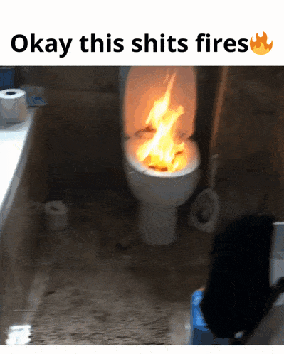 a toilet with flames coming out of it and the words okay this shits fires below it