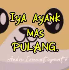 a picture of a dog with the words " iya ayank mas pulang " written on it