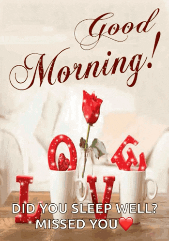 a good morning greeting card with a red rose and the words " did you sleep well missed you "