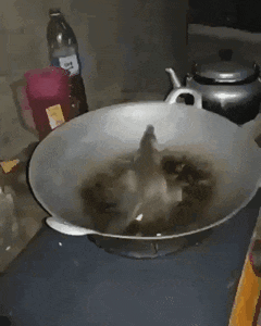 a bottle of long drink sits on a counter next to a pan of food