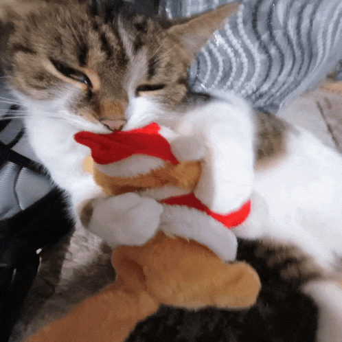 a cat wearing a santa hat is playing with another cat