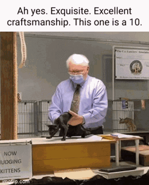 Ah Yes Exquisite Excellent Craftmanship This One Is A10 Cat Inspection GIF - Ah Yes Exquisite Excellent Craftmanship This One Is A10 Cat Inspection Cat GIFs